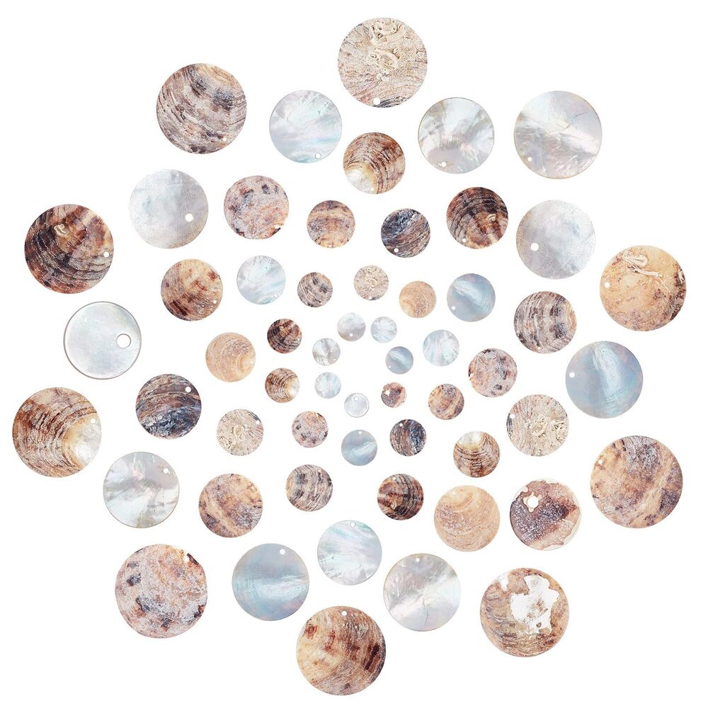 1402 1 Box 60Pcs Natural Flat Round Seashells Pendant Mussel Shell Coin
